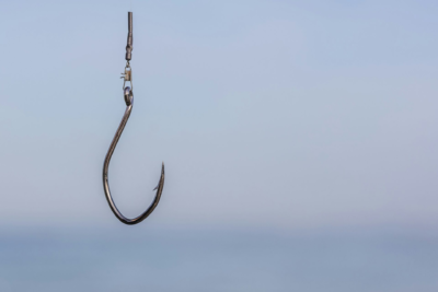 One Click to Catastrophe: How Smart Security Architecture Prevents Total System Failure 3 Phishing-Hook
